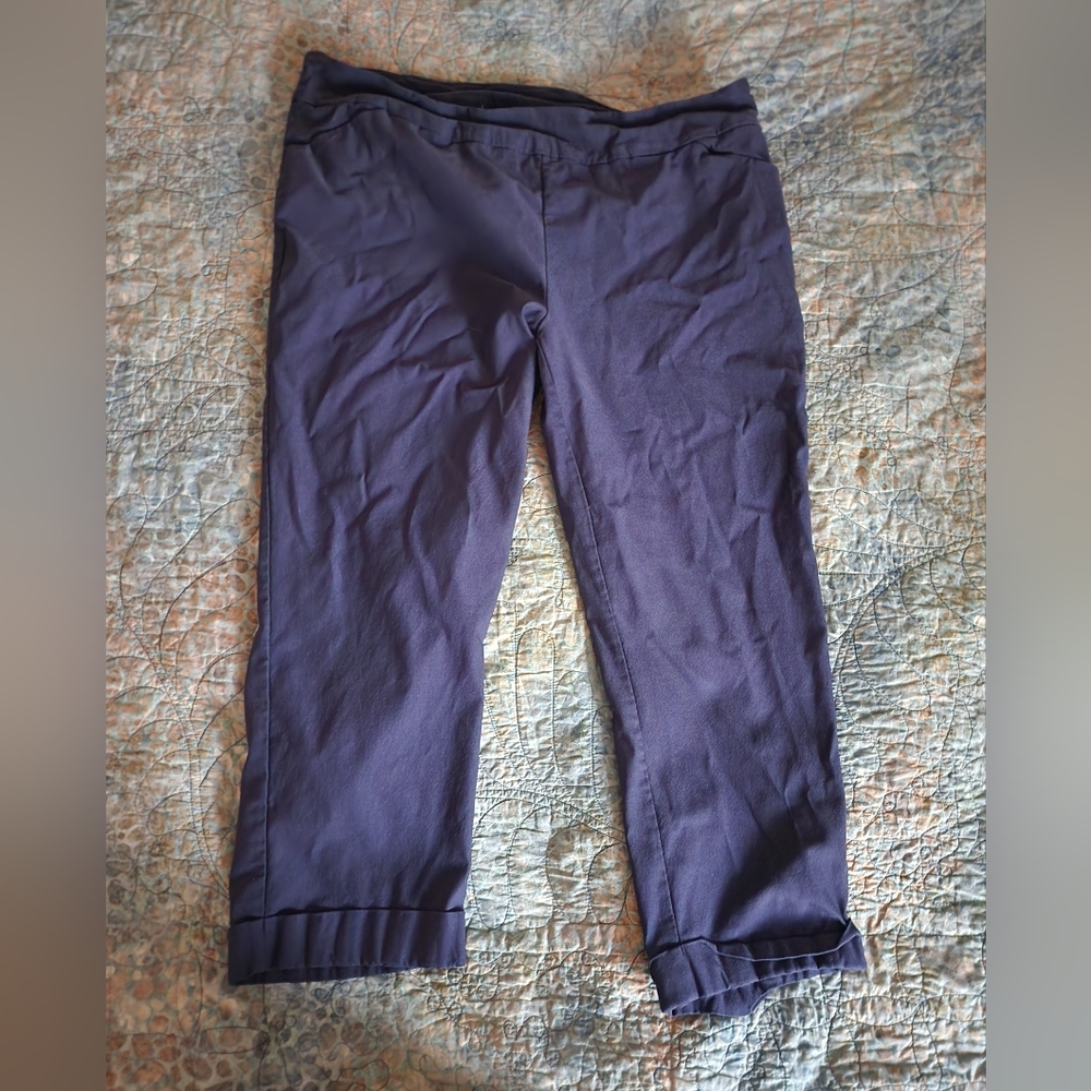 Tribal Plus Size Navy Cropped Pants 24W